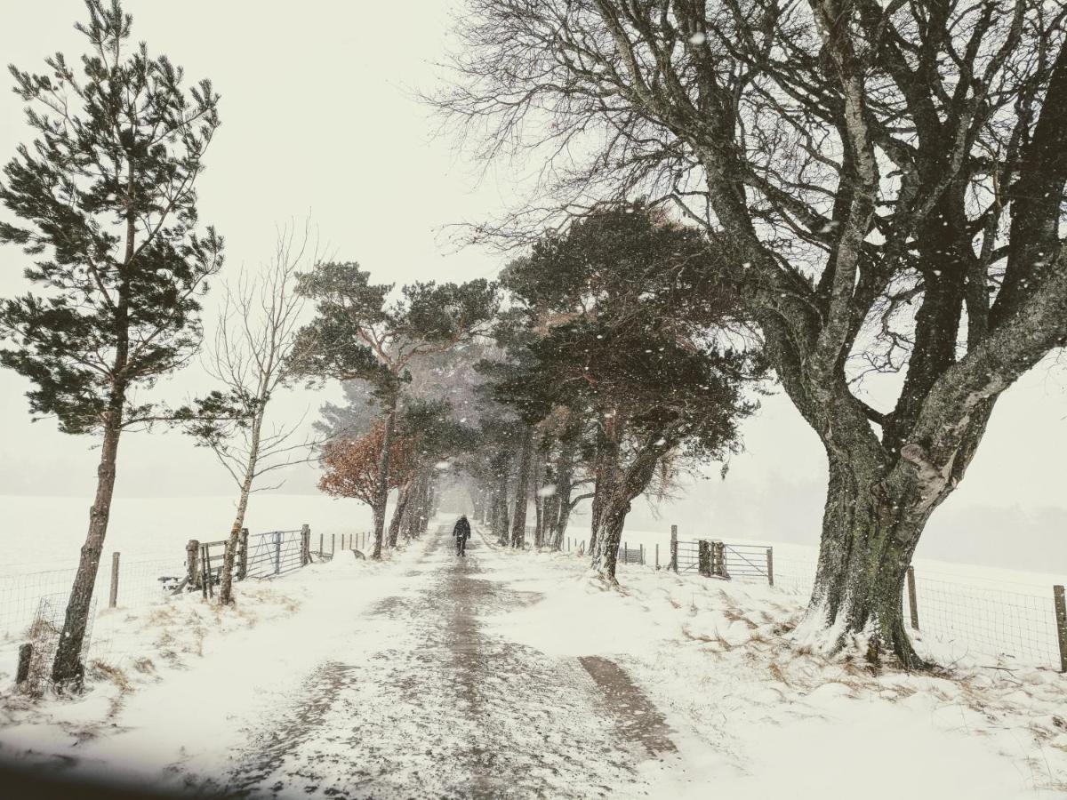 Glentruim Homestay B&B And Glamping Pods Newtonmore Eksteriør billede