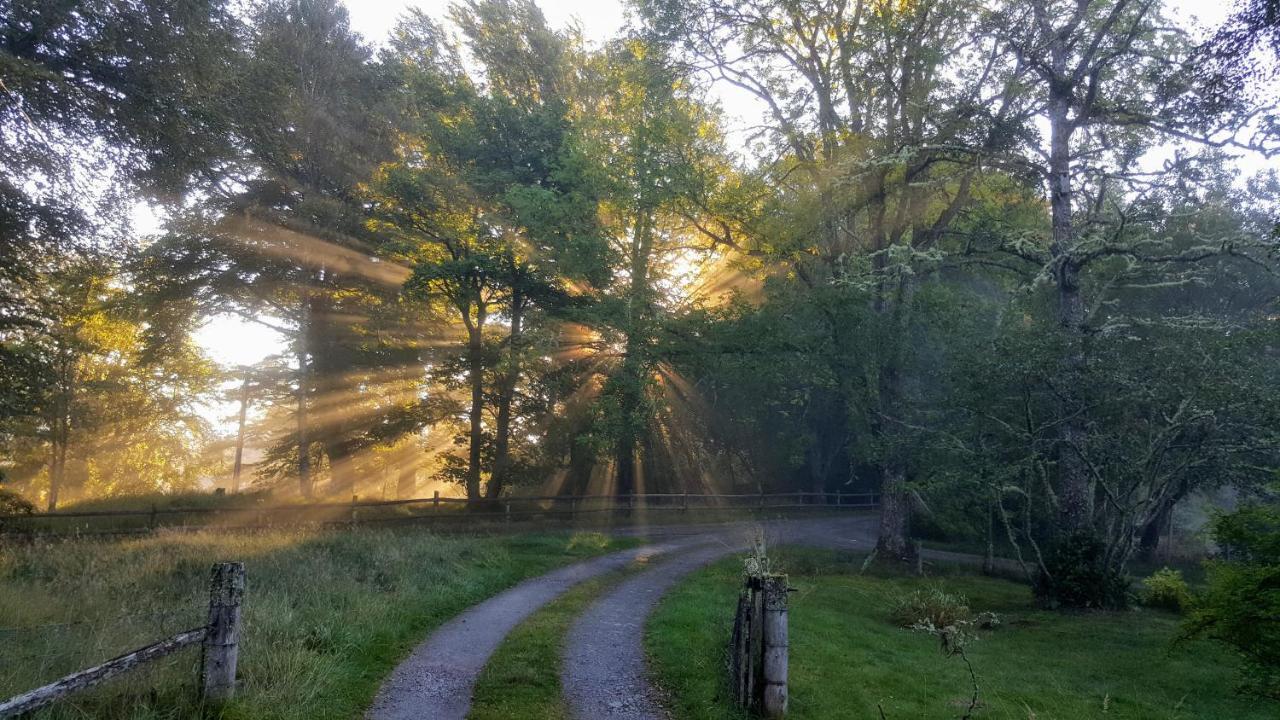 Glentruim Homestay B&B And Glamping Pods Newtonmore Eksteriør billede