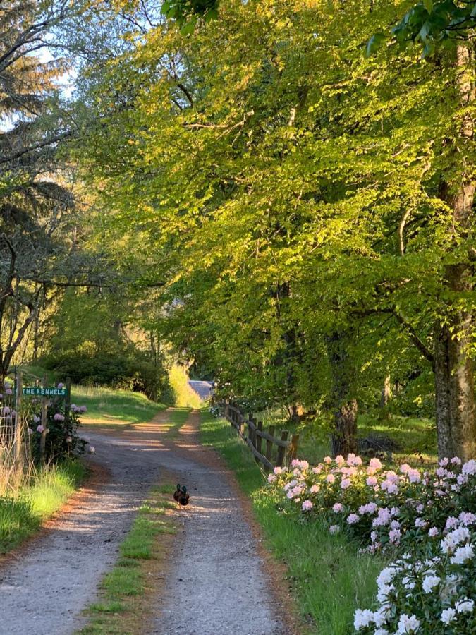 Glentruim Homestay B&B And Glamping Pods Newtonmore Eksteriør billede